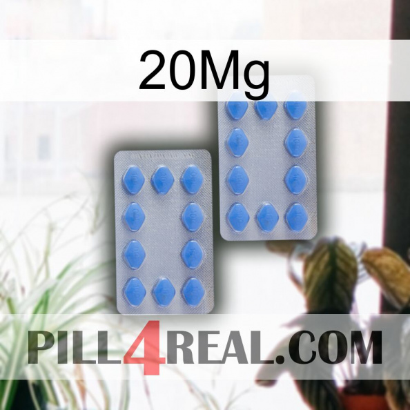 20Mg 20.jpg